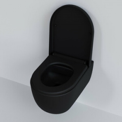 Сиденье для унитаза Ambassador Abner с микролифтом  матовое черное (102T20201) 102T20201