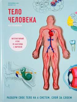 Тело человека  Интерактивный атлас по анатомии с вырубкой Разбери свое на 6 систем Слой за слоем БОМБОРА 978 5 04 098550 0
