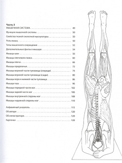 Анатомия йоги: атлас раскраска  Визуальный гид по телу — от структуры к осознанной практике Эксмо 978 5 04 109883