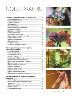 Большая книга о насекомых  1001 фотография АСТ 978 5 17 137645 1