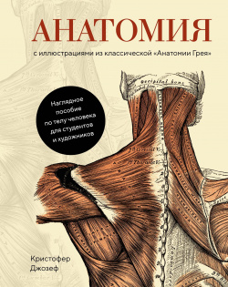 Анатомия  (с иллюстрациями из классической «Анатомии Грея») КоЛибри 978 5 389 15996 9