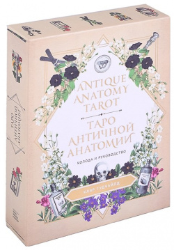 Antique Anatomy Tarot  Таро античной анатомии Манн Иванов и Фербер 978 5 00169 811 1