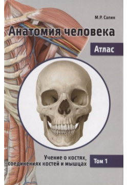 Анатомия человека  Атлас В 3 томах Том 1 Учение о костях соединениях костей и мышцах Практическая медицина 978 5 98811 422 2