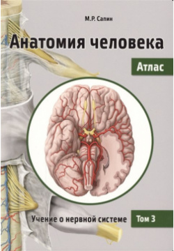 Анатомия человека  Атлас В 3 томах Том Учение о нервной системе Практическая медицина 978 5 98811 467