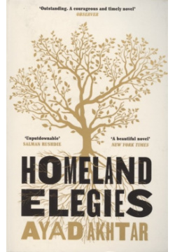 Homeland Elegies Tinder Press 978 1 4722 7689 6 A deeply personal novel of