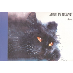 Альбом для рисования 40л "Котик" склейка  мел картон мат ламинация