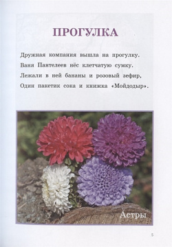 Цветы Издание книг ком 978 5 907446 23 6