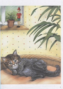 Моя самая красивая книга о кошках и собаках Питер 978 5 00116 692 4