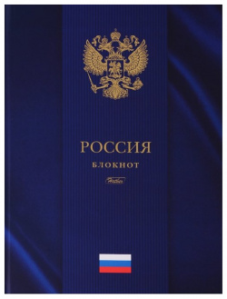 Книга для записей А4 80 листов клетка "Россия" 