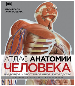 Атлас анатомии человека (DK)  Подробное иллюстрированное руководство Эксмо 978 5 04 164296 9