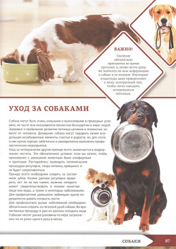 Большая энциклопедия о кошках и собаках АСТ 978 5 17 154697 7