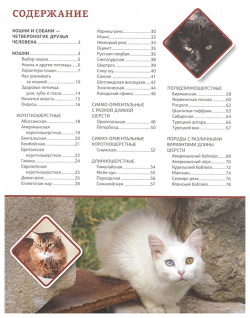 Большая энциклопедия о кошках и собаках АСТ 978 5 17 154697 7