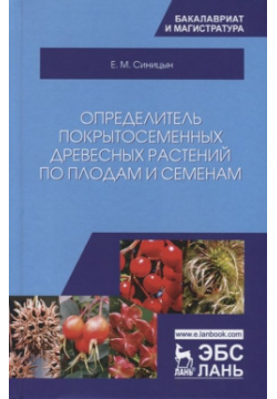 Определитель покрытосеменных древесных растений по плодам и семенам Лань 978 5 8114 3454 1 