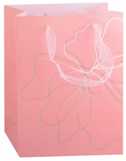 Пакет А5 25*19*8 5 "Pink print" жен  пластик