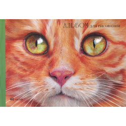 Альбом для рисования 40л А4 "Рыжий котик" склейка  мел картон мат ламинация А