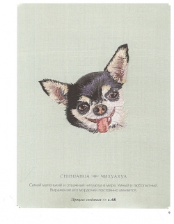 Портретная вышивка  Самоучитель по «рисованию» собак вышивальной иглой (чихуахуа) Эксмо 978 5 04 186792 8