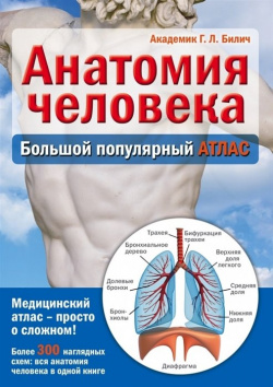 Анатомия человека: большой популярный атлас Эксмо 978 5 699 72585 4 Почему стоит