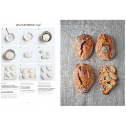 Большая книга пекаря: Хлеб  бриоши выпечка Учимся готовить шедевры КоЛибри 978 5 389 13881 0