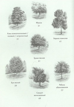 Деревья: Как жизни человека и дерева переплетены друг с другом КоЛибри 978 5 389 17334 7