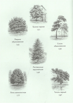 Деревья: Как жизни человека и дерева переплетены друг с другом КоЛибри 978 5 389 17334 7