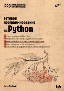 Сетевое программирование на Python БХВ Петербург 978 5 9775 1899 4 