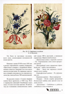Тайный язык цветов в искусстве модерна Издание книг ком 978 5 907733 45 9
