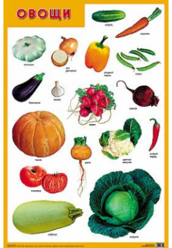 Развивающие плакаты  Овощи МОЗАИКА СИНТЕЗ ООО 978 5 43151 883 6