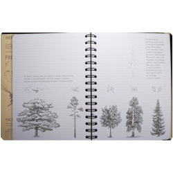 SketchBook: Визуальный экспресс курс по рисованию  черный Эксмо 978 5 699 69774 8