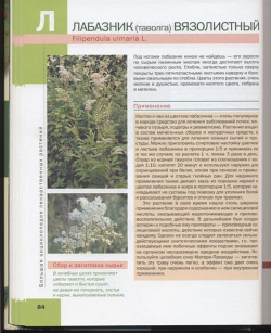 Большая иллюстрированная энциклопедия лекарственных растений Эксмо 978 5 699 26032 4