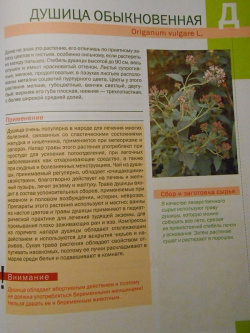 Большая иллюстрированная энциклопедия лекарственных растений Эксмо 978 5 699 26032 4