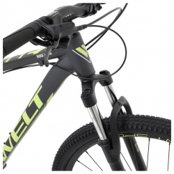 Горный велосипед Welt Ridge 1 0 HD 29  год 2024 цвет Серебристый ростовка 18