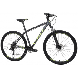 Горный велосипед Welt Ridge 1 0 HD 29  год 2024 цвет Серебристый ростовка 20