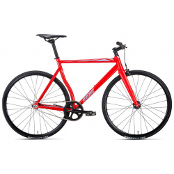 Дорожный велосипед Bear Bike Armata  год 2023 цвет Красный ростовка 23 С