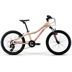 Детский велосипед Merida Matts J 20 Eco  год 2022 цвет Серебристый Фиолетовый