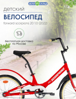 Детский велосипед Forward Scorpions 20 1 0  год 2022 цвет Красный Белый В