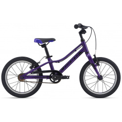 Детский велосипед Giant ARX 16 F/W  год 2021 цвет Фиолетовый
