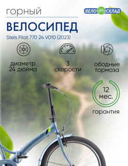 Складной велосипед Stels Pilot 770 24 V010  год 2023 цвет Серебристый Зеленый С