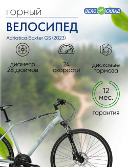 Дорожный велосипед Adriatica Boxter GS  год 2023 цвет Серебристый ростовка 23 Д