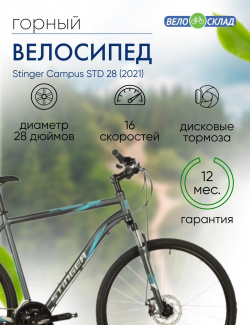 Дорожный велосипед Stinger Campus STD 28  год 2021 цвет Серебристый ростовка 22 Д