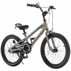Детский велосипед Royal Baby Freestyle 7th 18  год 2024 цвет Серебристый