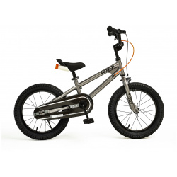 Детский велосипед Royal Baby Freestyle 7th 16  год 2024 цвет Серебристый