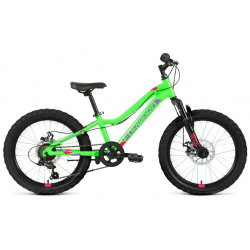 Детский велосипед Forward Twister 20 2 0 D  год 2024 цвет Зеленый Фиолетовый
