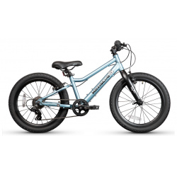 Детский велосипед Maxiscoo 5 Bike 20 L  год 2024 цвет Синий