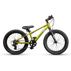 Детский велосипед Maxiscoo 5 Bike 20 M  год 2024 цвет Зеленый