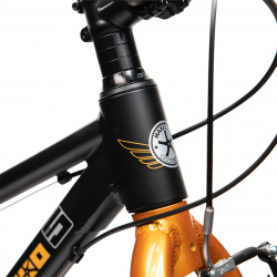 Детский велосипед Maxiscoo 5 Bike 20 M  год 2024 цвет Черный