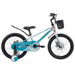 Детский велосипед Techteam Forca 16  год 2024 цвет Серебристый Синий