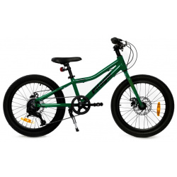 Детский велосипед Pifagor Axiom 20  год 2023 цвет Зеленый