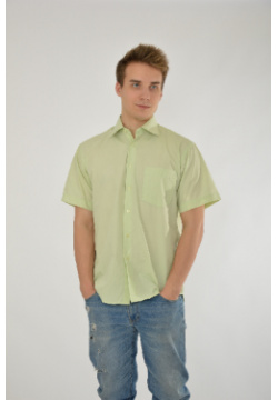 Рубашка Davani BR0000048506 Цвет: светло зеленый  Состав: хлопок 85%