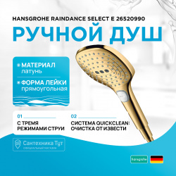 Ручной душ Hansgrohe 26520990 Raindance Select E Полированное золото