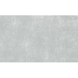 Керамогранит Idalgo (Идальго)  Граните Стоун Цемент светло серый ASR 59 9х120 см